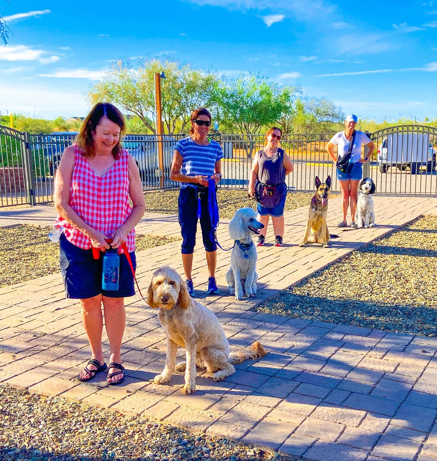 Partners Dog Training, Resort and Daycare