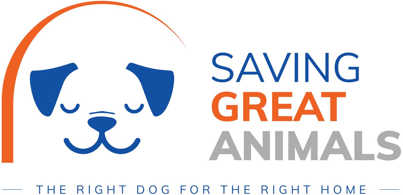Saving Great Animals