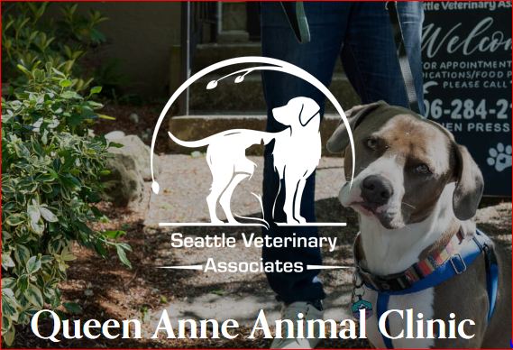 Queen Anne Animal Clinic