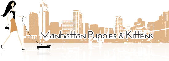 Manhattan Puppies
