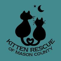 Kitten Rescue of Mason County