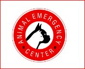 Animal Emergency & Surgical Center