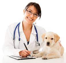 At Home Veterinary Services