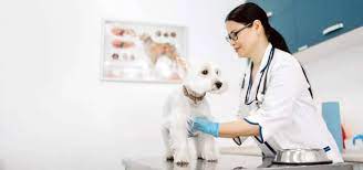 Ballard Animal Hospital