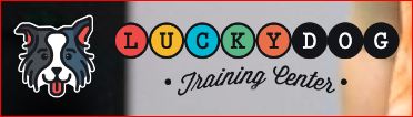 Lucky Dog Training Center
