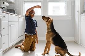 DALLAS DOG TRAINING