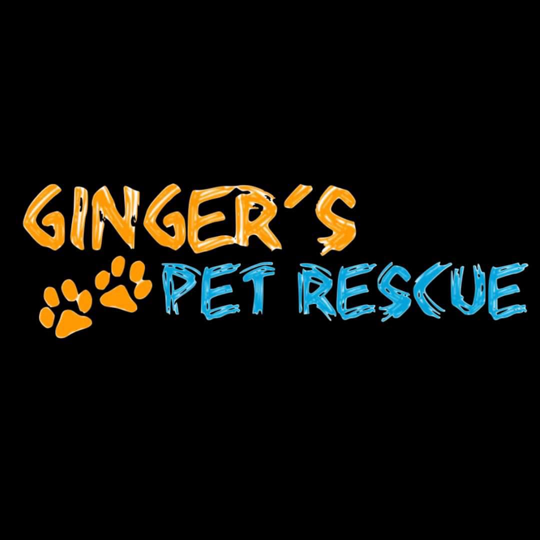 Ginger's Pet Rescue