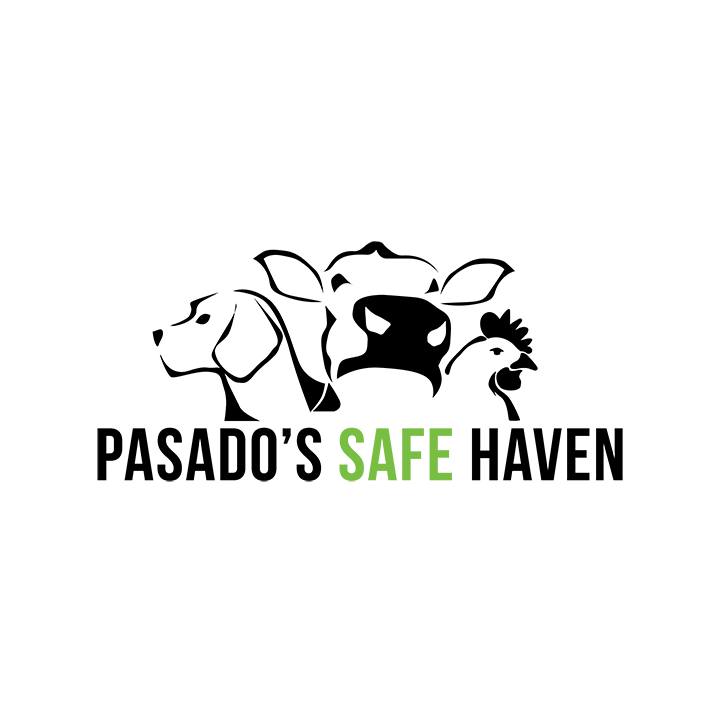 Pasado's Safe Haven