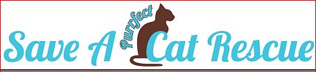 Save A Purrfect Cat Rescue