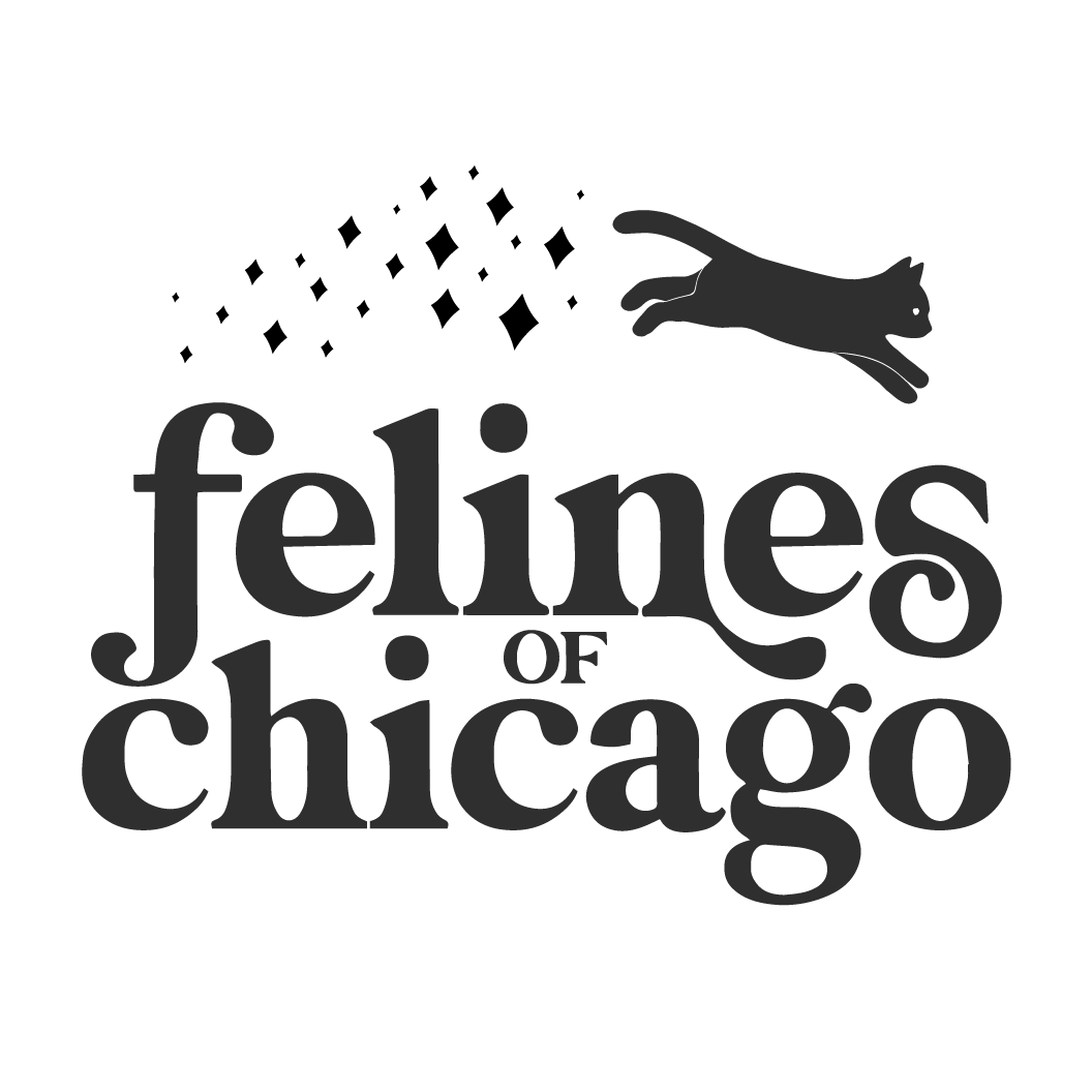 Felines of Chicago