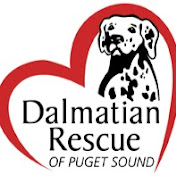 Dalmatian Rescue of Puget Sound