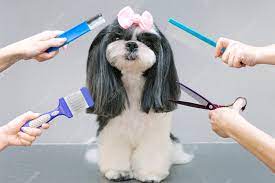 KeenEdge Pet Grooming in your home