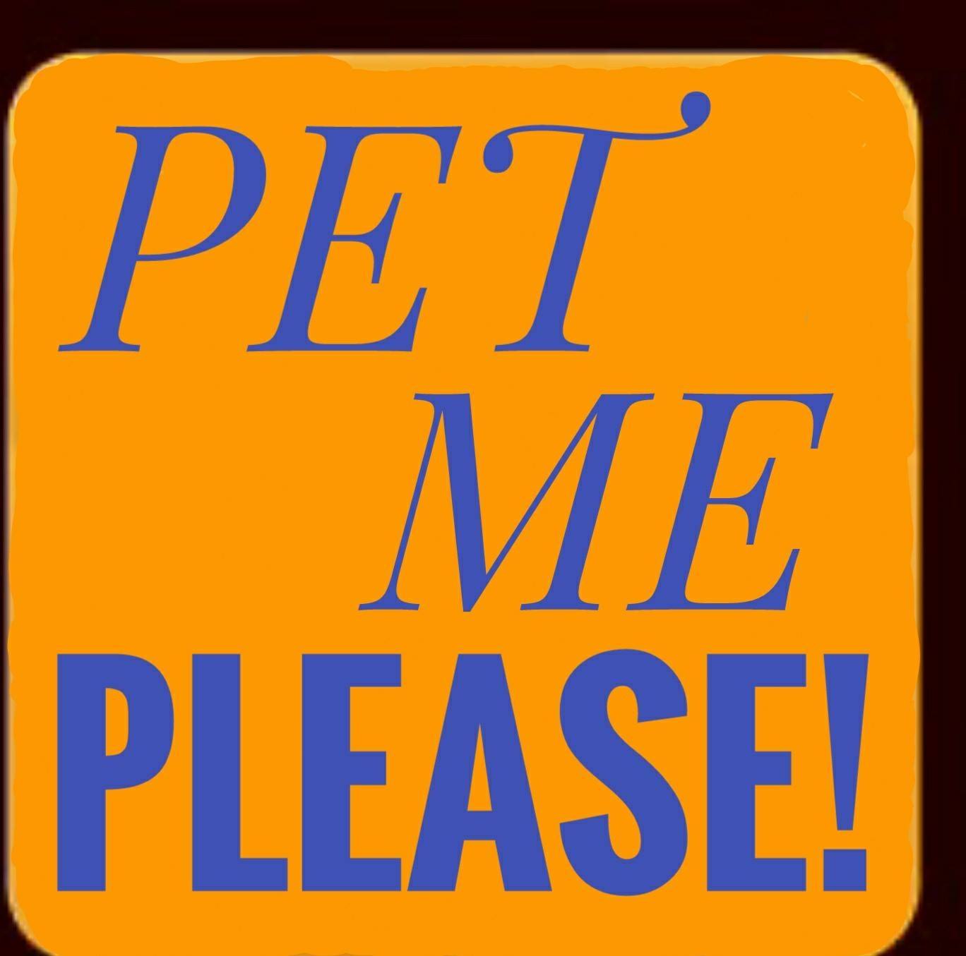 Pet Me Please