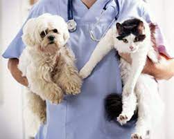 Broadway Veterinary Hospital