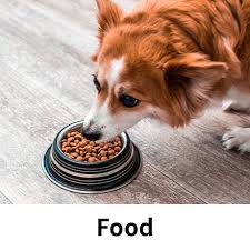 Pet Food Depot