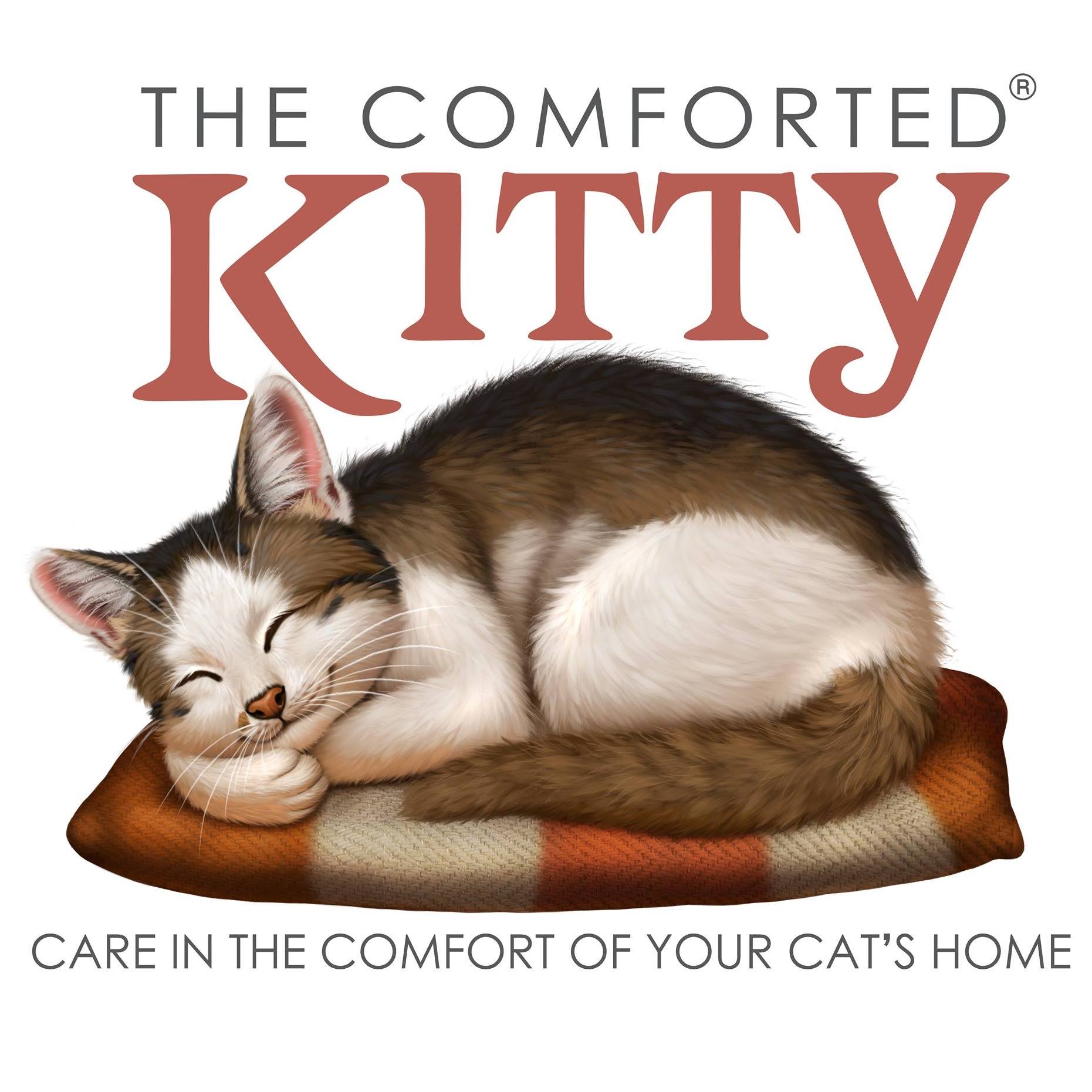 The Comforted Kitty