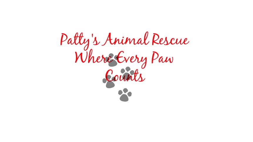 Patty's Animal Rescue