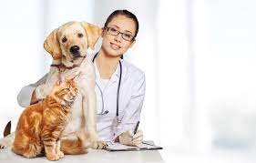 Lake Union Veterinary Clinic