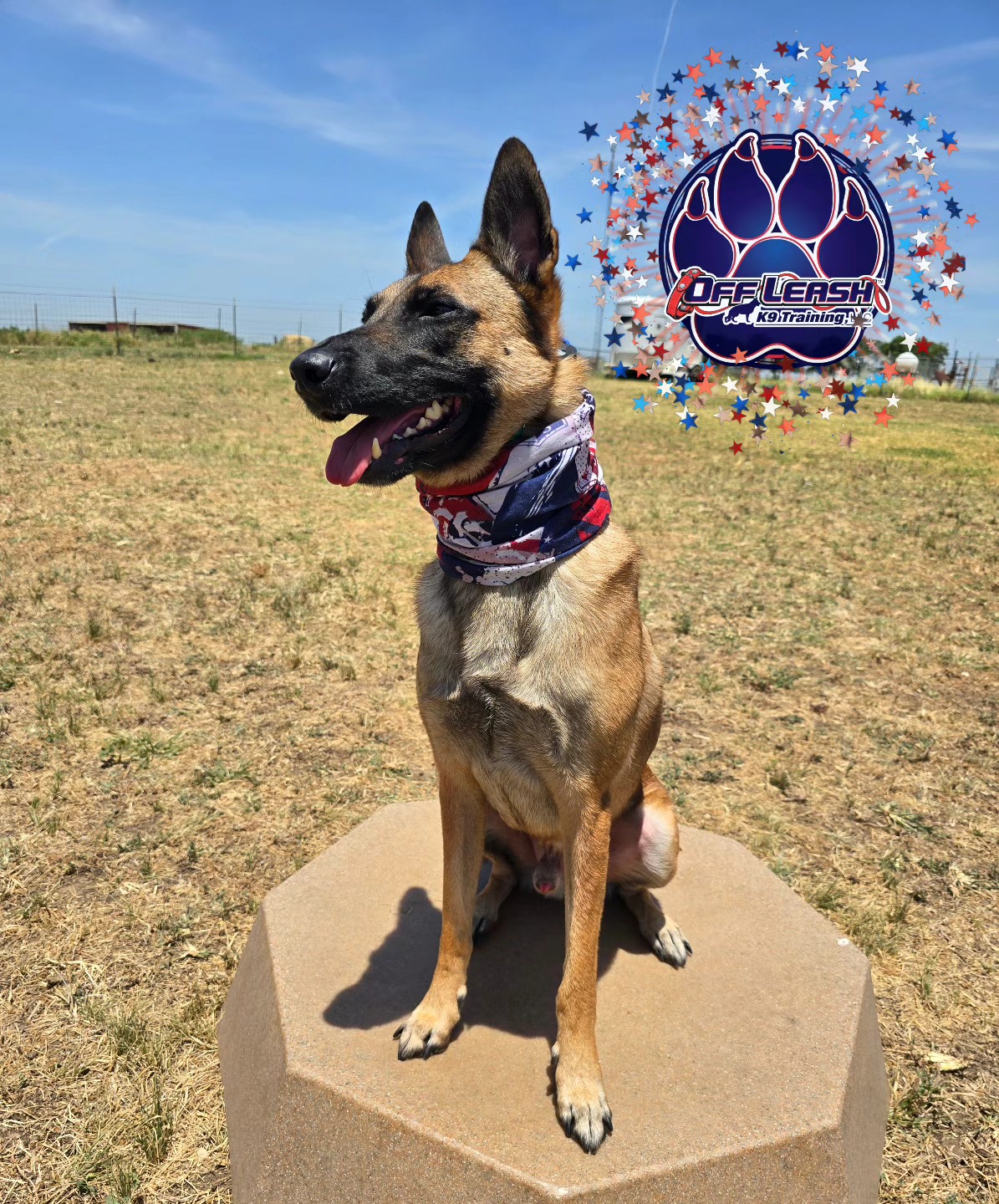 Off Leash K9 Training Texas