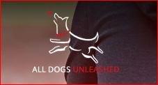 All Dogs Unleashed Dog Training OKC