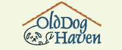 Old Dog Haven