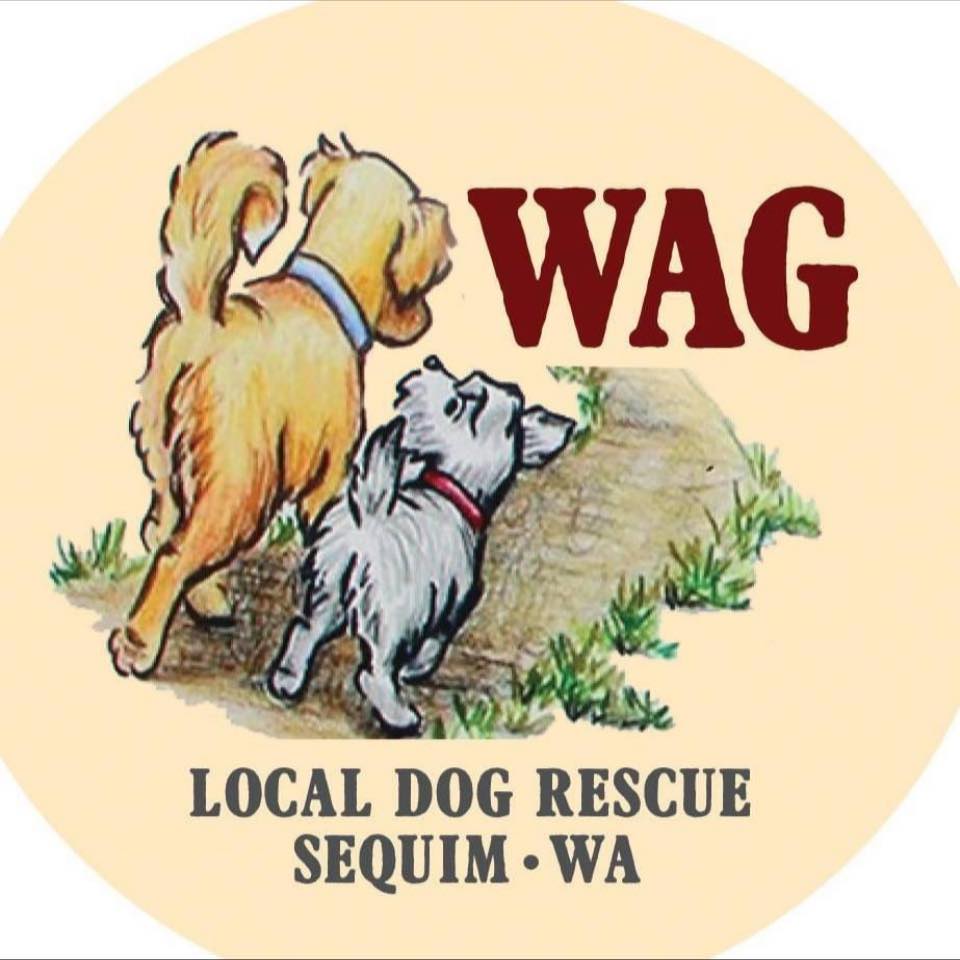 WAG Welfare for Animals Guild