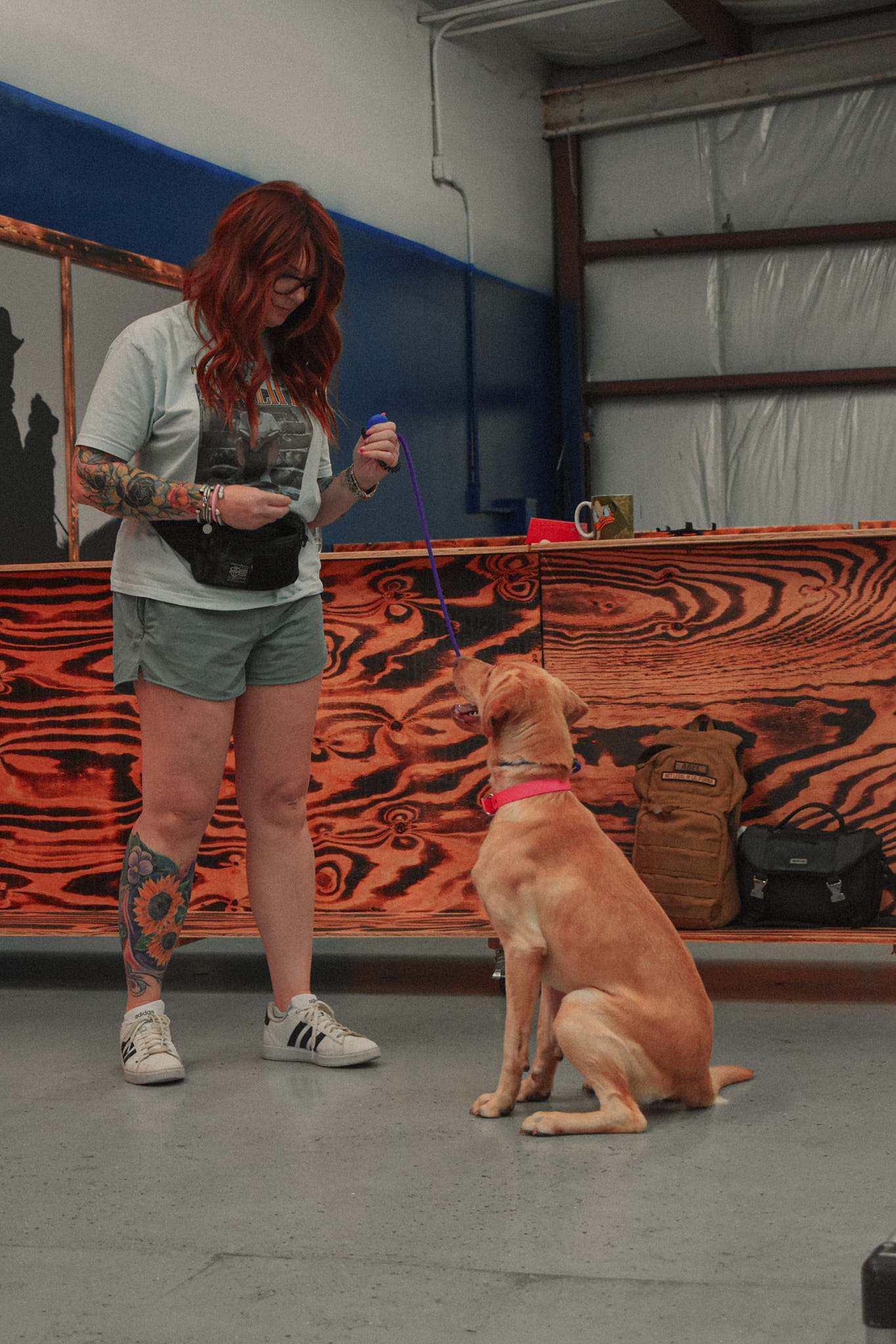 Off Leash K9 Training Texas