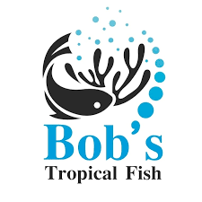 Bob's Tropical Fish