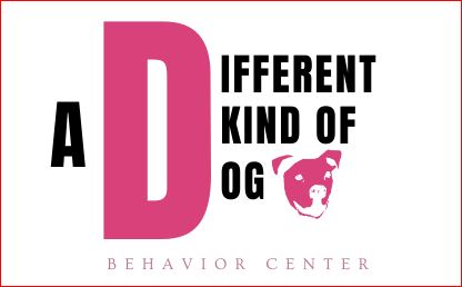 A Different Kind of Dog Behavior Center