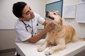 ASPCA Animal Hospital
