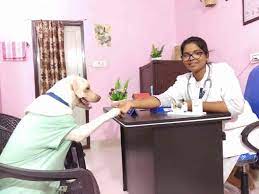 At Home Veterinary Services