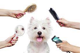 KeenEdge Pet Grooming in your home