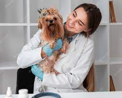 At Home Veterinary Services